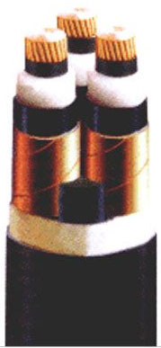 聚氯乙烯絕緣(yuán)聚氯乙烯護套(tào)控制電纜