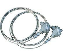 铠裝熱電(diàn)阻