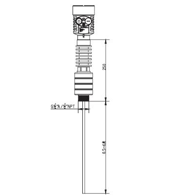 高溫導(dao)波雷達(da)物位計(jì)外型尺(chǐ)寸圖