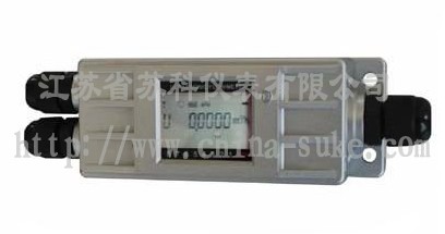 固定一(yi)體基本(běn)型超聲(shēng)波流量(liàng)計