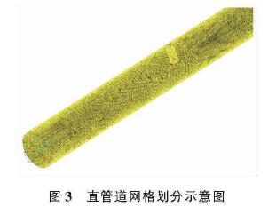 插(chā)入式電(diàn)磁流量(liang)計直管(guǎn)道網格(gé)劃分示(shì)意圖