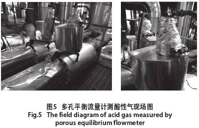 多孔平衡流量計(ji)測酸性氣現場圖(tú)示