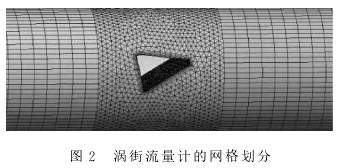 渦街流量(liang)計的網格(ge)劃分圖示(shì)