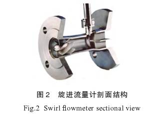 旋進漩(xuan)渦流量(liàng)計剖面(miàn)結構圖(tú)