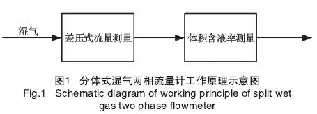 分體式濕氣(qi)兩相流量計(ji)工作原理圖(tú)示
