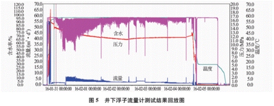 井下浮子流(liu)量計測試結果(guǒ)回放圖
