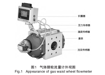 氣體腰(yao)輪流量計外觀(guan)圖