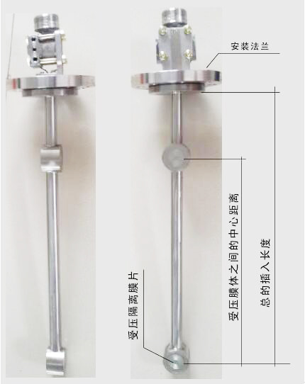 頂裝(zhuāng)型差壓式密度計(ji)圖示