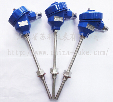 防(fang)爆型熱(rè)電阻