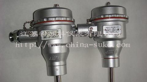 隔爆(bao)型熱電(diàn)偶