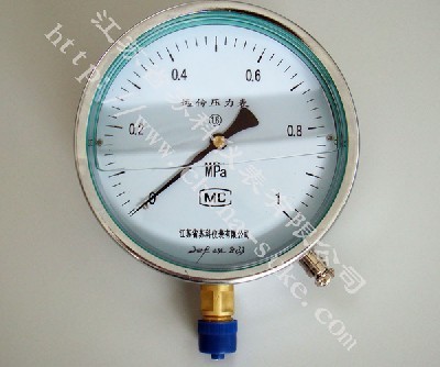 電(diàn)阻遠傳(chuan)耐震壓(ya)力表