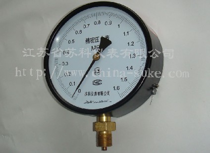 精密壓力(lì)表