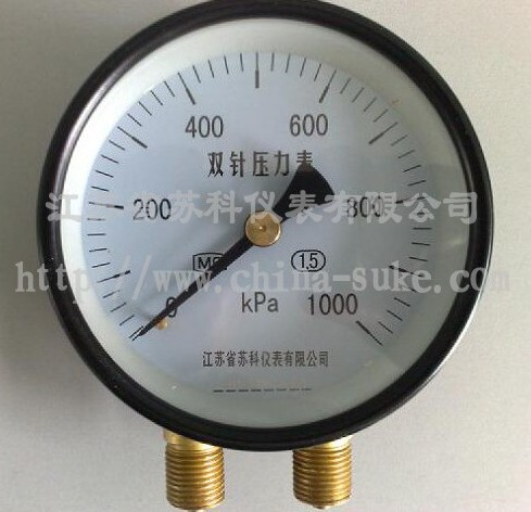 雙針壓(ya)力表